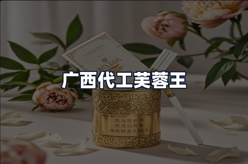 广西代工芙蓉王